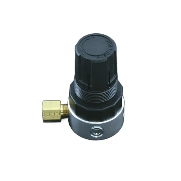 Albion Engineering 137-5 1/8 NPT Regulator for Air Guns - One-stop shop for professional tools and equipment.