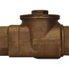 A.Y. McDonald 5183-321 711-7Ee 66 Dual Check Fnpt X Fnpt - One-stop shop for professional tools and equipment.