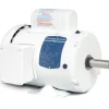 Baldor WDL3504 .5HP, 1725RPM, 1PH, 60HZ, 56, 3520L, TEFC, F1, N - One-stop shop for professional tools and equipment.