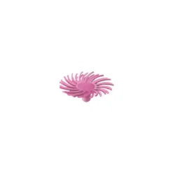 Dedeco 1355 Sunburst 1/2 TC Snap-On Discs Pink 600 Grit Size (Pumice) 30/Bx - One-stop shop for professional tools and equipment.