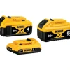 Dewalt DCB346-3 20V Max* Lithium Ion Battery (3 Pk) - One-stop shop for professional tools and equipment.