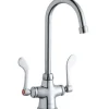 Elkay LK500GN05T4 Single Hole with Concealed Deck Faucet with 5& Gooseneck Spout 4& Wristblade Handles Chrome - One-stop shop for professional tools and equipment.