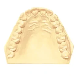 Garreco 1011025 TECSTONE BUFF 25 LBS - One-stop shop for professional tools and equipment.