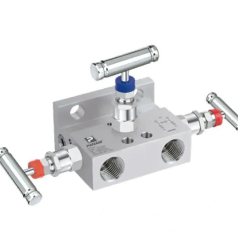 Winters Instruments MVA3SS2F Mva 3 - Handle Manifolds - One-stop shop for professional tools and equipment.